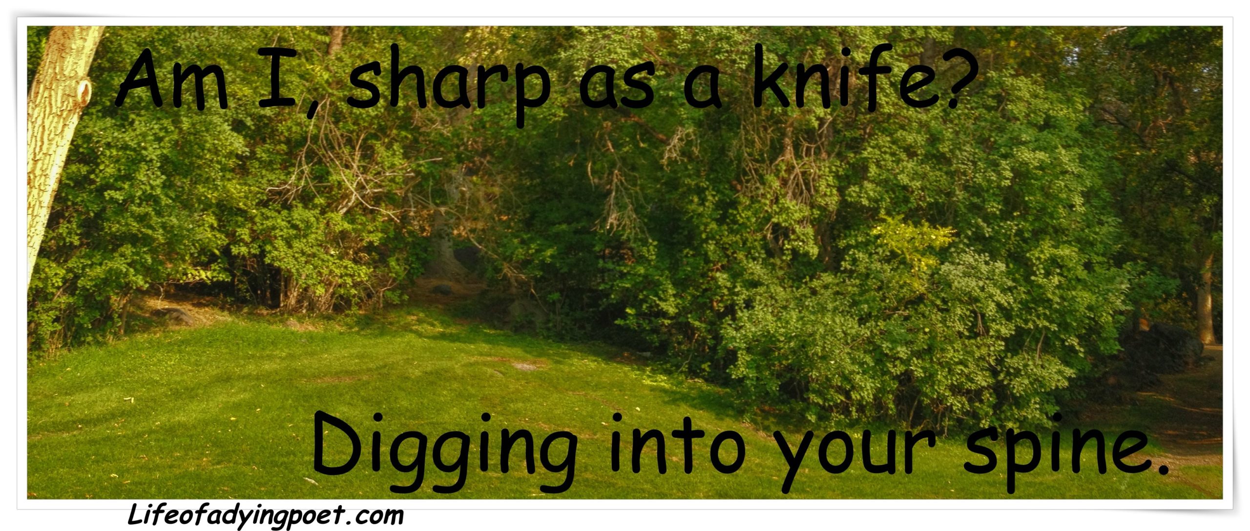 Read more about the article Sharp as a Knife