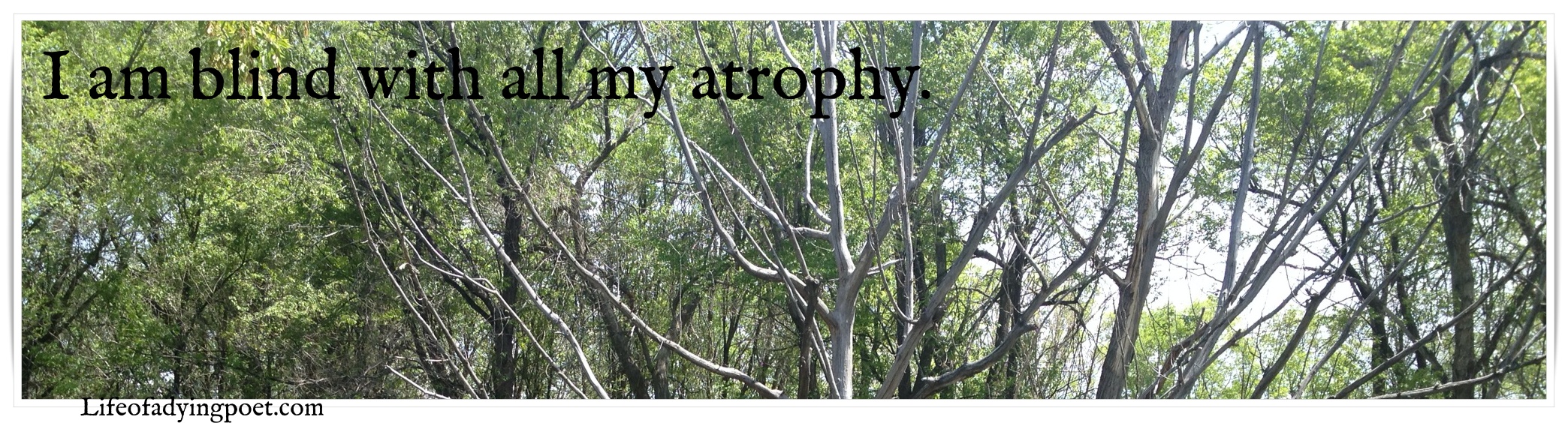 Read more about the article Atrophy